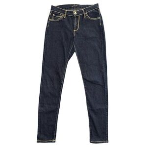 James Jeans Twiggy Skinny Fray Hem Denim Jeans 26